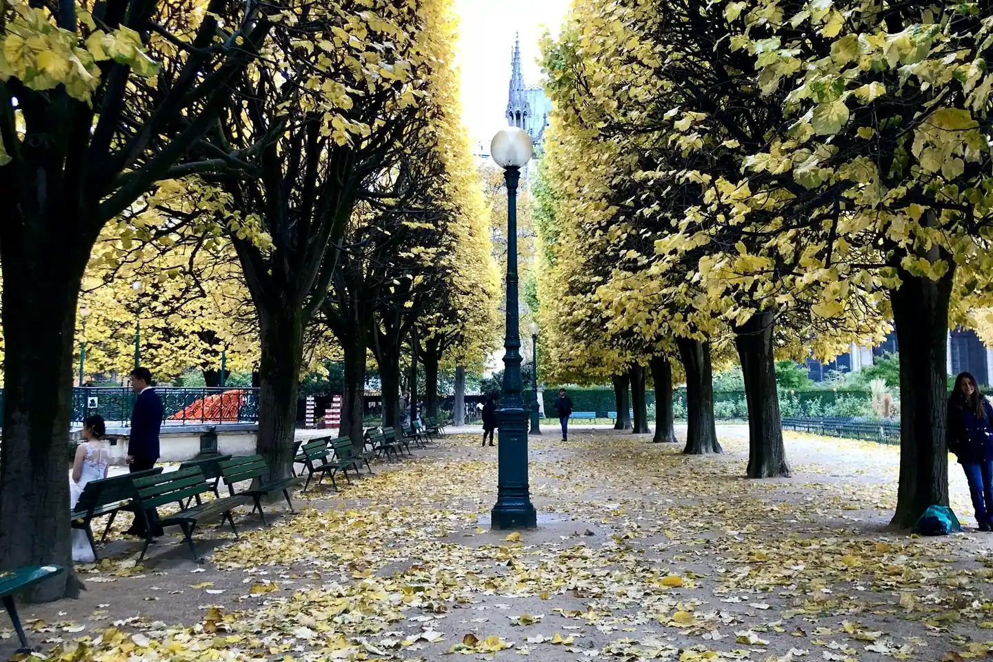 Tree-lined promenade in Luxembourg City in autumn